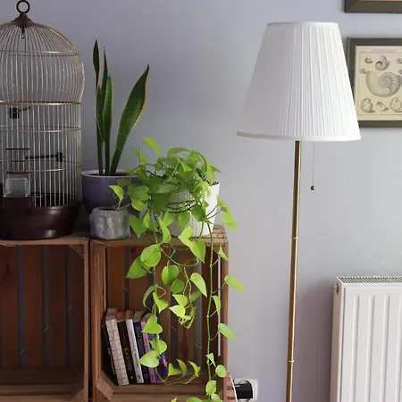 Klimatyczna Kawalerka Z Duza Iloscia Kwiatow Apartment Wroclaw
